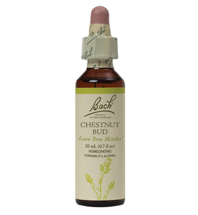 Chestnut Bud Flower Essence