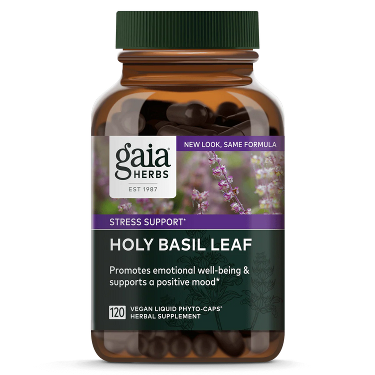 Holy Basil