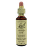 Oak Flower Essence