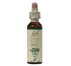 Centaury Flower Essence
