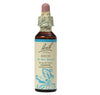 Beech Flower Essence