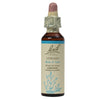 Vervain Flower Essence