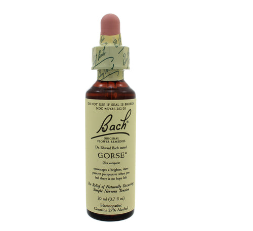 Gorse Flower Essence