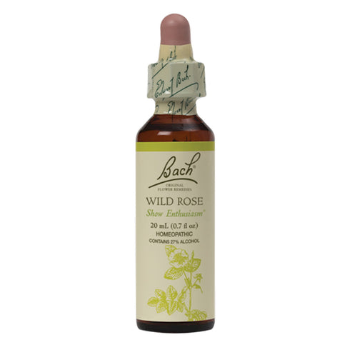 Wild Rose Flower Essence
