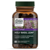 Holy Basil